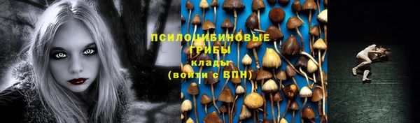 стаф Алексин