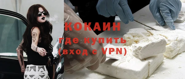 стаф Алексин