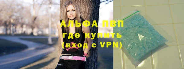 стаф Алексин