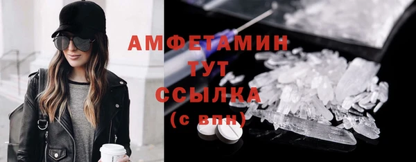 стаф Алексин