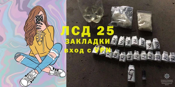 стаф Алексин
